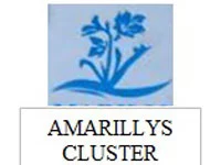 logo-amarillys-website